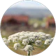 Hayrunnisa Bayat profil fotoğrafı