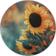 İlayda profil fotoğrafı