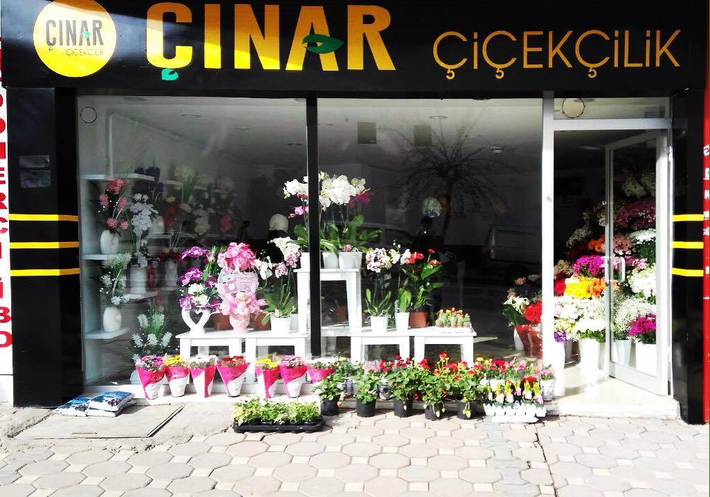 ÇINAR ÇİÇEKÇİLİK
