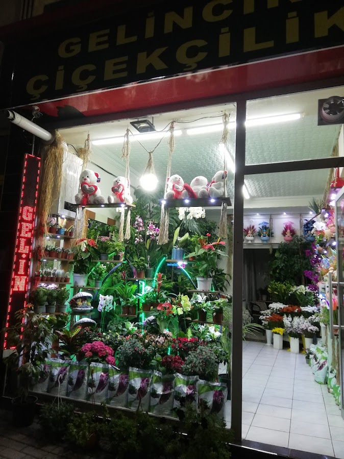 SİVAS GELİNCİK ÇİÇEKCİLİK