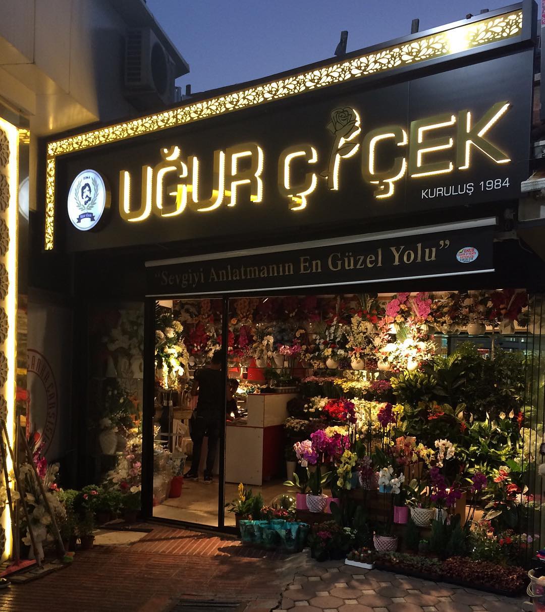 Ugur Cicek Evi