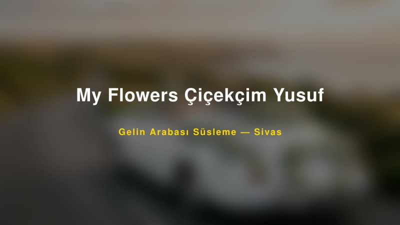 My Flowers Çiçekçim Yusuf Sivas Gelin Arabası Süsleme