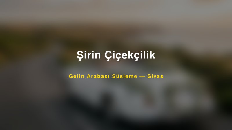 Şirin Çiçekçilik Gelin Arabası Süsleme Fiyatları — 1