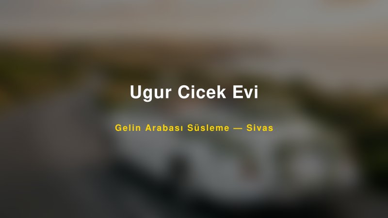 Ugur Cicek Evi Gelin Arabası Süsleme Fiyatları — 1